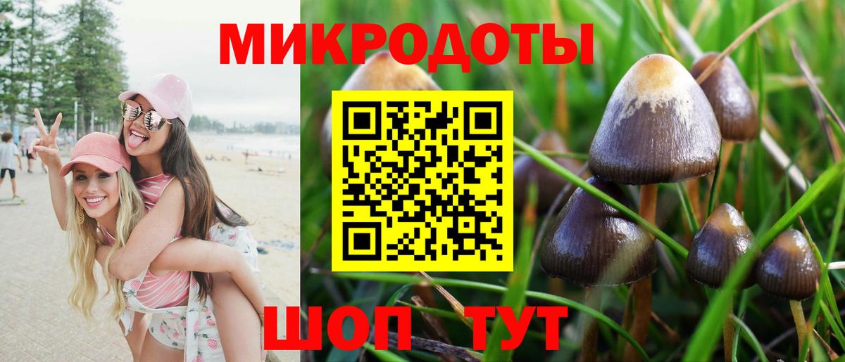 Псилоцибиновые грибы Psilocybine cubensis  Вход с VPN  Галлюциногенные грибы ЛСД  Добрянка 