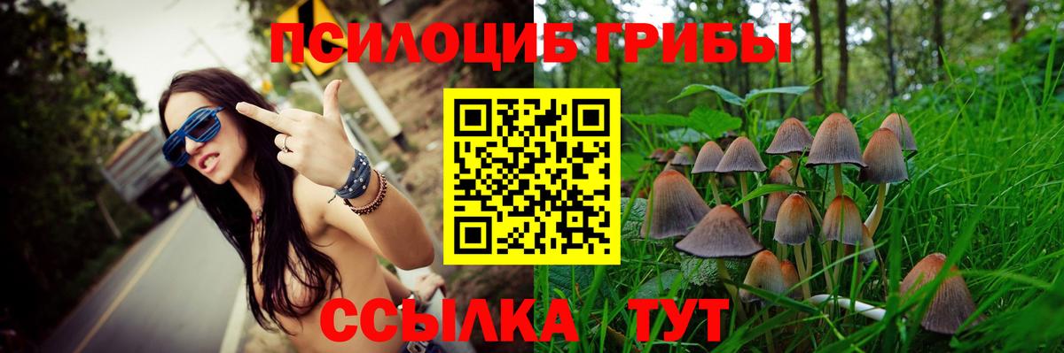 Псилоцибиновые грибы мухоморы Добрянка